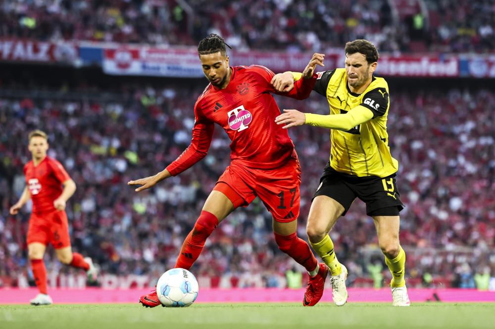 身为桑稚 身为桑稚